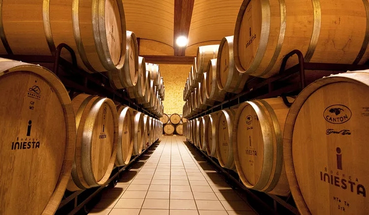 葡萄酒，也可以很“体育